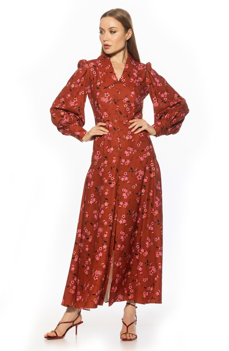 Alexia Admor Kate Collared Long Sleeve Maxi Dress